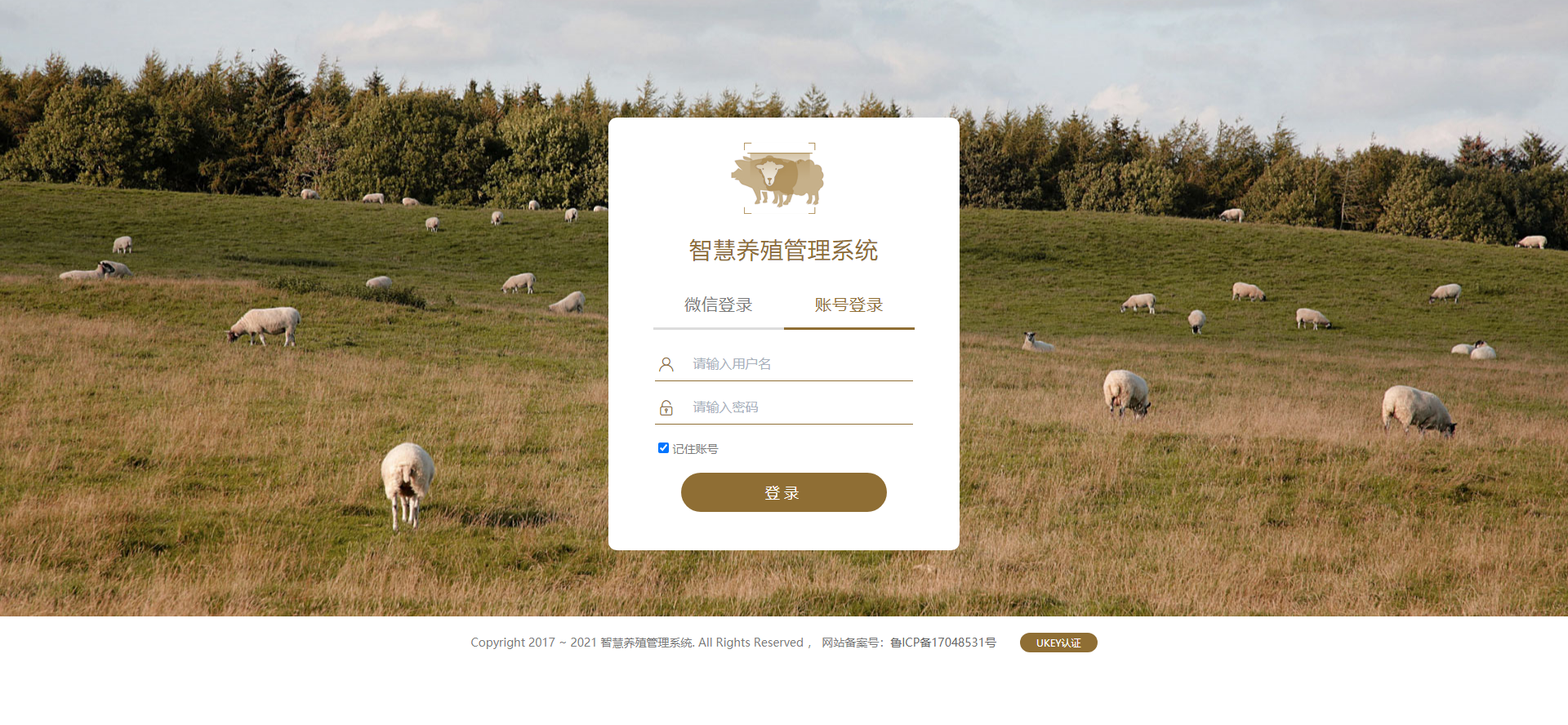 登陆.png